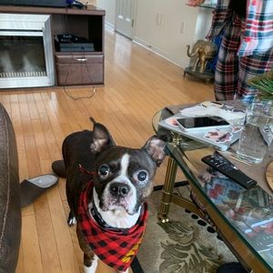 Meet your Posher, Krisel